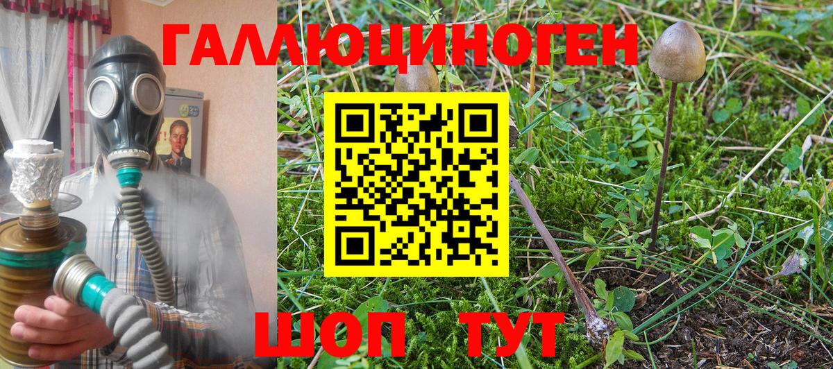 Галлюциногенные грибы ЛСД Зима